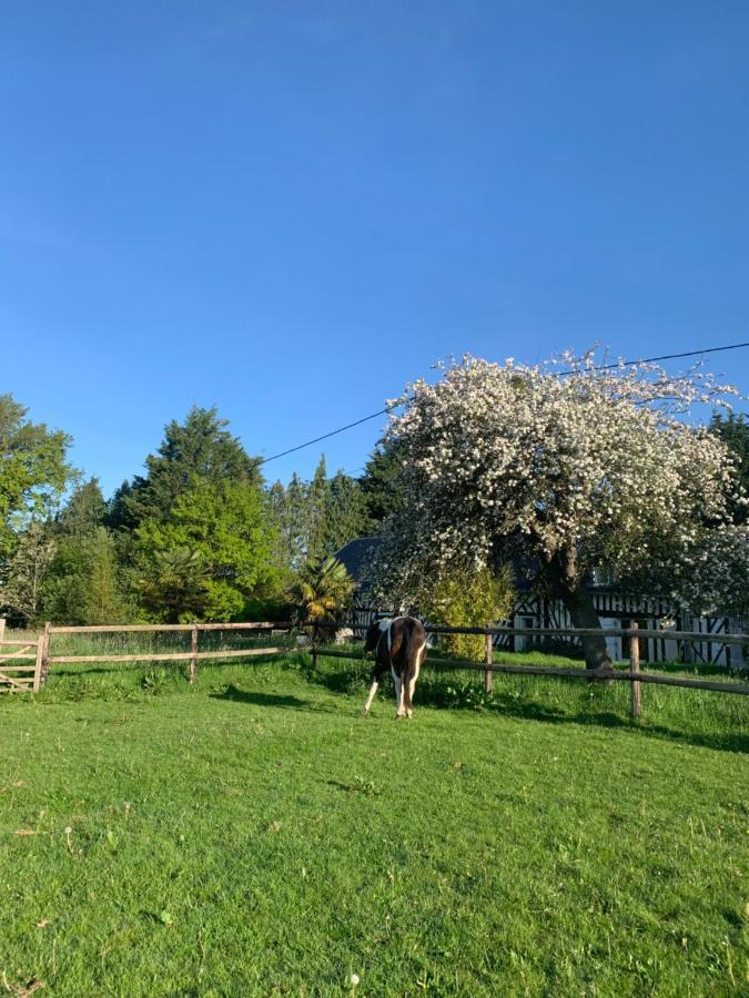 Gîte Le bonheur est dans le pré Saint-Pierre-Des-Ifs  Extérieur photo