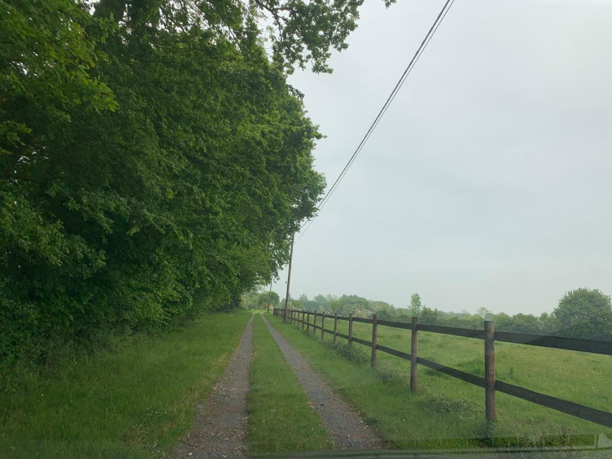 Gîte Le bonheur est dans le pré Saint-Pierre-Des-Ifs  Extérieur photo