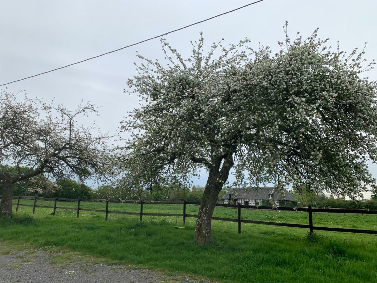 Gîte Le bonheur est dans le pré Saint-Pierre-Des-Ifs  Extérieur photo
